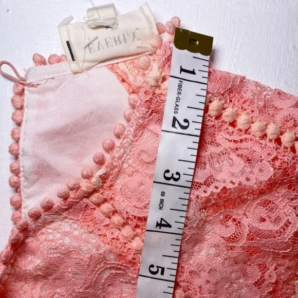 Everly Pink and Cream Lace Mini Dress NWT - Picture 12 of 14